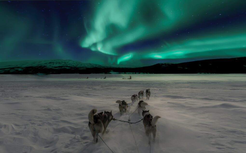 Bilde av hundespann under nordlyset. Brukt i Hvordan fotografere nordlyset