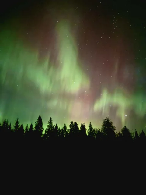 Derfor ser vi opp ✨ 2